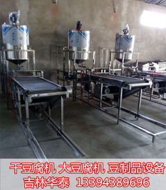 梅河口干豆腐机 豆制品设备 豆腐加工机械研发 华泰食品机械
